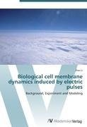 Biological cell membrane dynamics induced by electric pulses