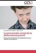 La prevención social de la delincuencia juvenil