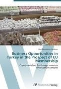 Business Opportunities in Turkey in the Prospect of EU Membership