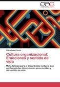 Cultura organizacional: Emociones y sentido de vida
