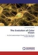 The Evolution of Color Vision
