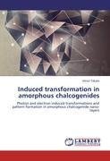 Induced transformation in amorphous chalcogenides