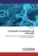 Computer simulations of fuel cells