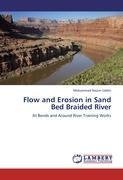 Flow and Erosion in Sand Bed Braided River
