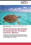 Determinacion del estado de salud de las Tortugas marinas.México