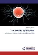 The Bovine Epididymis