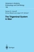 The Trigeminal System in Man