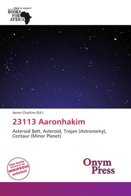 23113 Aaronhakim