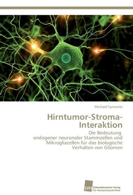 Hirntumor-Stroma-Interaktion