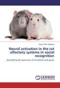 Neural activation in the rat olfactory systems in social recognition