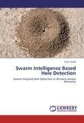 Swarm Intelligence Based Hole Detection