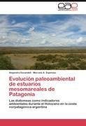 Evolución paleoambiental de estuarios mesomareales de Patagonia