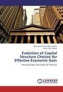Evolution of Capital Structure Choices for Effective Economic Gain