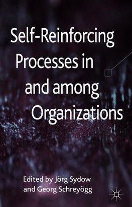 Self-Reinforcing Processes in and Among Organizations