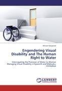 Engendering Visual Disability and The Human Right to Water