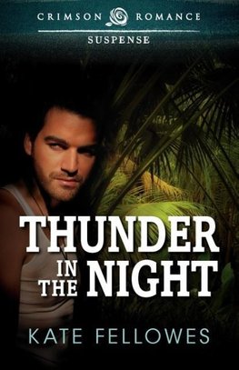 Thunder In The Night