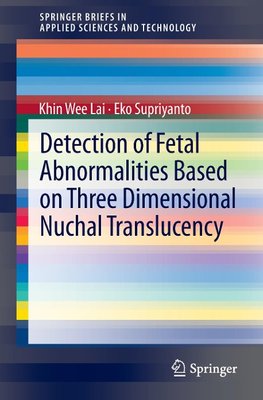 Detection of Fetal Abnormalities Based on Three Dimensional Nuchal Translucency