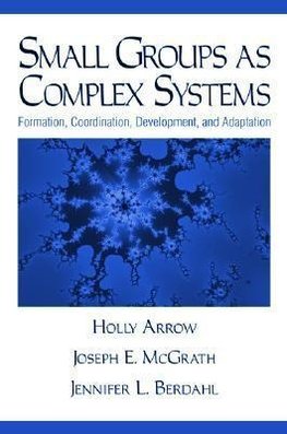 Small Groups as Complex Systems