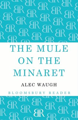 The Mule on the Minaret