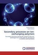 Secondary processes on ion-exchanging polymers