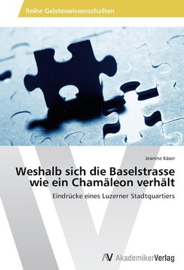 Weshalb sich die Baselstrasse wie ein Chamäleon verhält