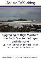Upgrading of High Moisture Low Rank Coal to Hydrogen and Methane