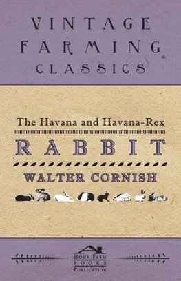 The Havana and Havana-Rex Rabbit