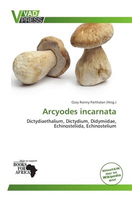 Arcyodes incarnata