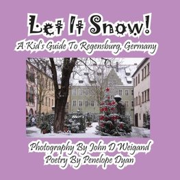 Let It Snow! a Kid's Guide to Regensburg, Germany