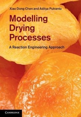 Modeling Drying Processes