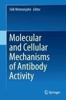 Molecular and Cellular Mechanisms of Antibody Activity