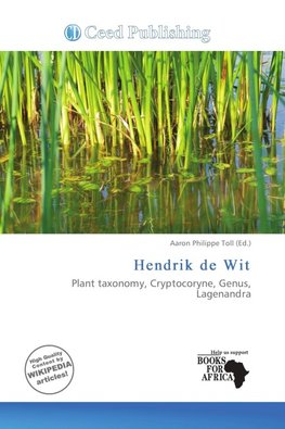 Hendrik de Wit