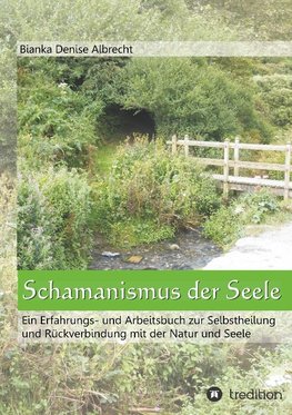 Schamanismus der Seele