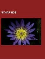 Synapsids