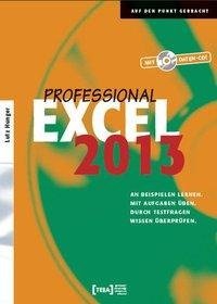 Hunger, L: Excel 2013 Professional Buch