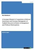 A German Obama? A Comparison of African Americans and German Immigrants of Turkish Descent in Terms of Integration and Political Participation