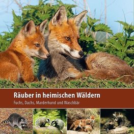 Räuber in heimischen Wäldern