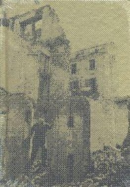 Alfredo Jaar Venezia Venezia