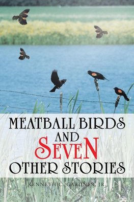 Meatball Birds and Seven Other Stories