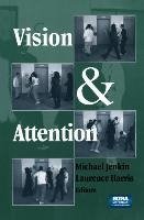 Vision and Attention