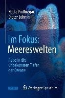 Im Fokus: Meereswelten
