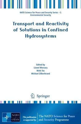 Transport and Reactivity of Solutions in Confined Hydrosystems
