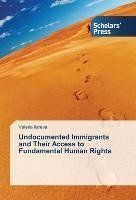 Undocumented Immigrants and Their Access to Fundamental Human Rights