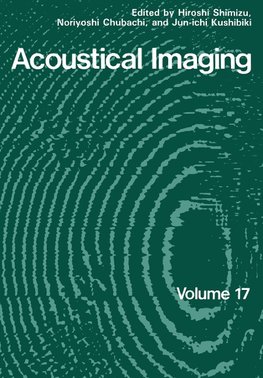 Acoustical Imaging