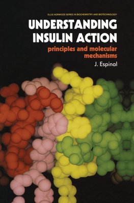Understanding Insulin Action