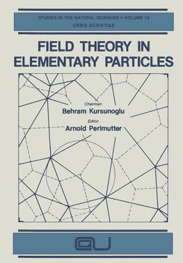 Field Theory in Elementary Particles