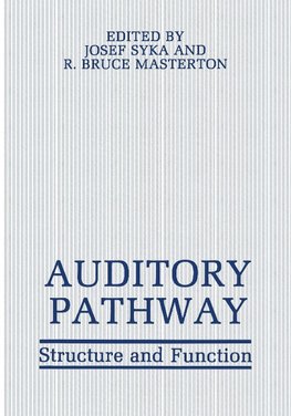 Auditory Pathway