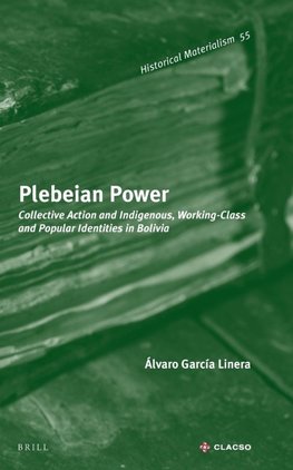 Plebeian Power