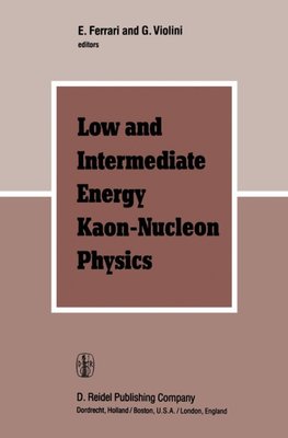Low and Intermediate Energy Kaon-Nucleon Physics