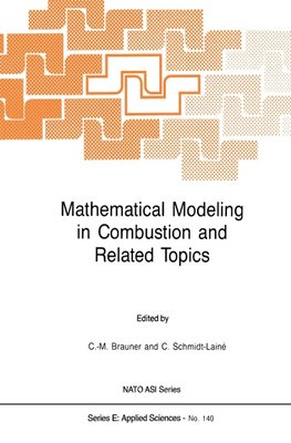 Mathematical Modeling in Combustion and Related Topics